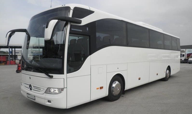 Opole: Bus operator in Nysa in Nysa and Poland