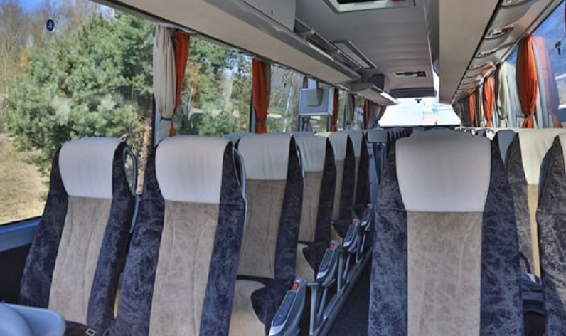 Poland: Coach charter in Lubusz  in Lubusz  and Nowa S&oacute;l