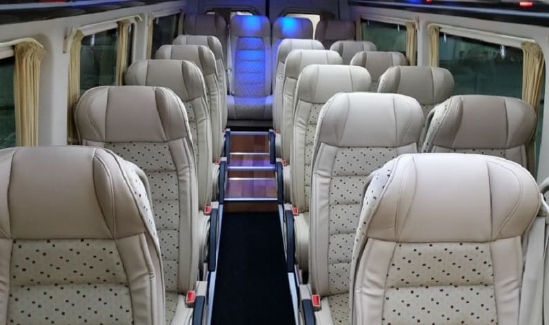 Poland: Coach company in Opole in Opole and Brzeg